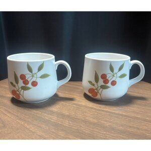 Noritake Progression China Berries N Such Coffee Flat Cups Set Of 2